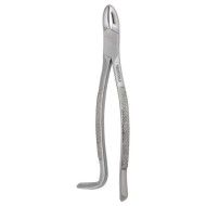 Wolf Tooth Forceps / Extracting Forceps